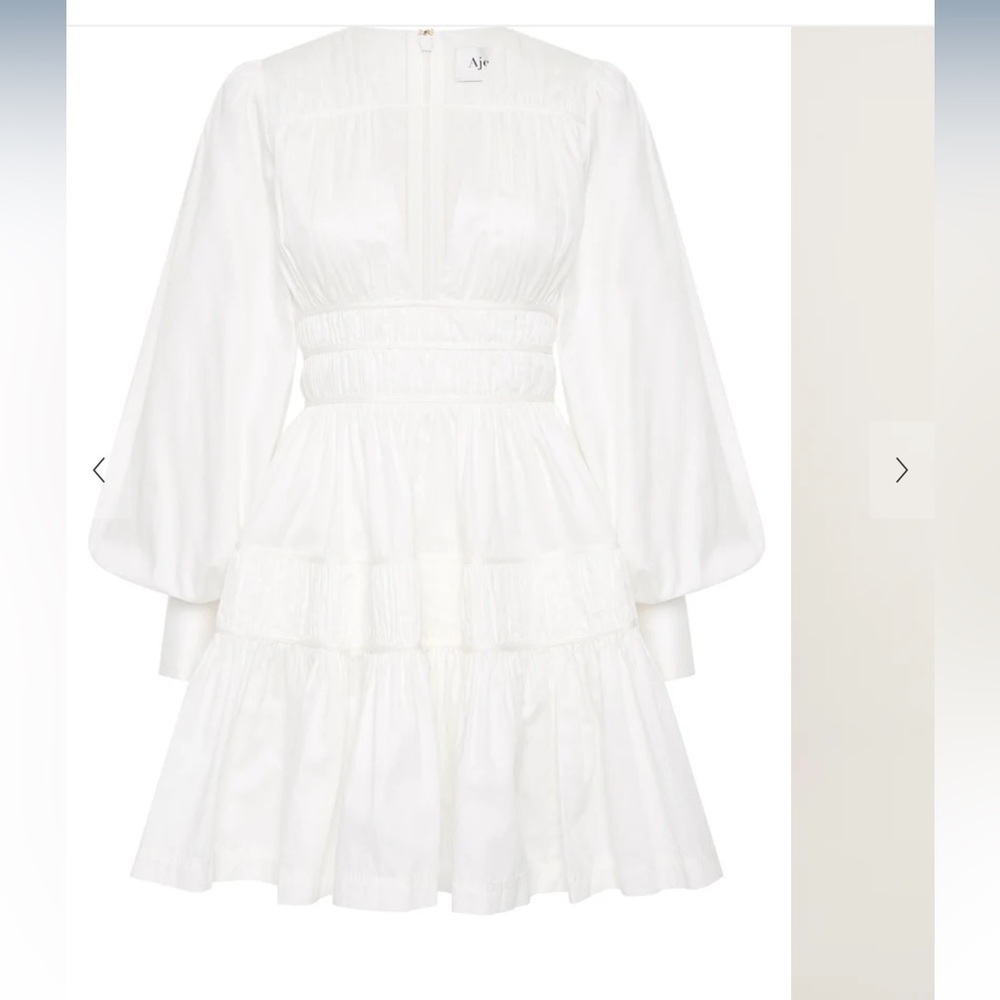 Aje World - Fallingwater Ruched Mini Dress - Picture 3 of 5